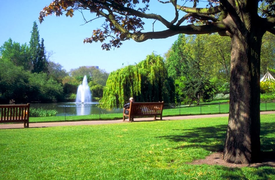 Banco e vegetação no Parque Hyde Park em Londres