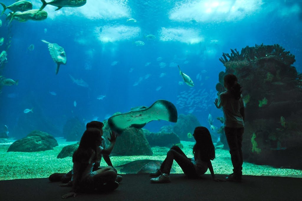 Interior do Oceanário de Lisboa em Portugal