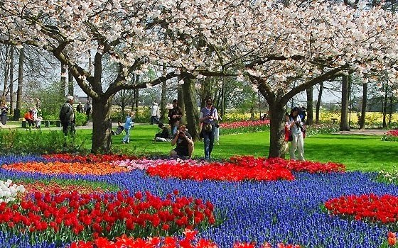 Jardim Keukenhof de Amsterdam | Holanda