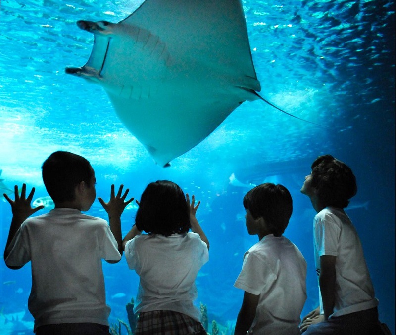 Oceanário de Lisboa | Portugal