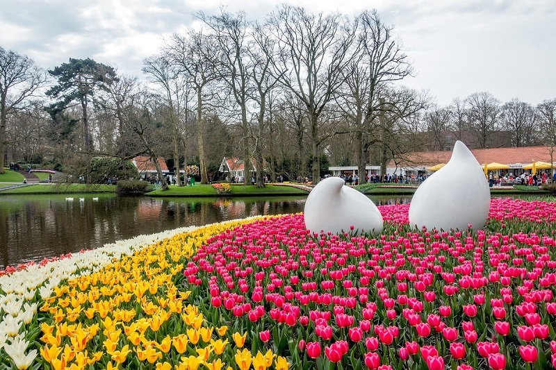 Flores e jardins na Holanda