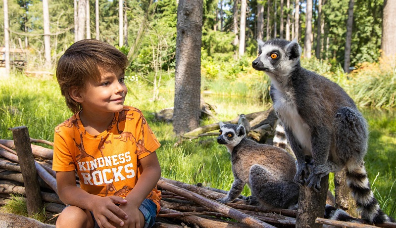 Zoológicos na Holanda