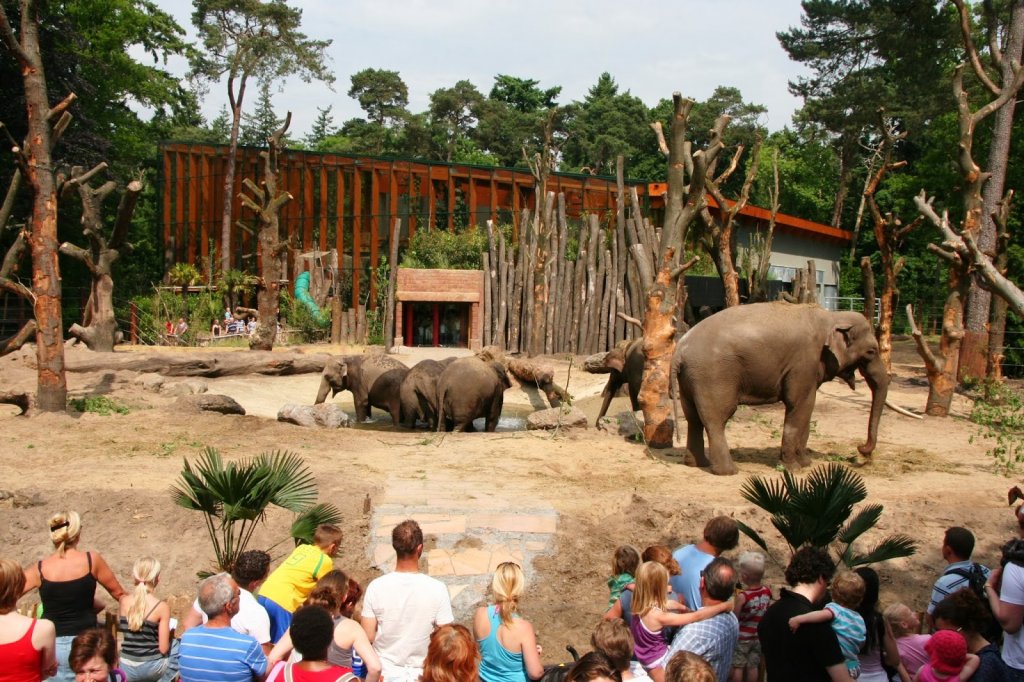 DierenPark Amersfoort na Holanda