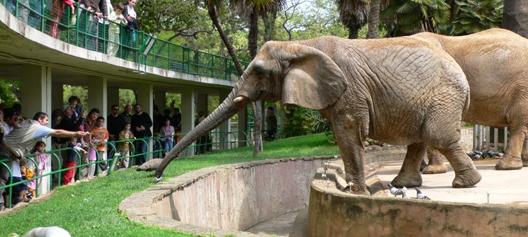 Zoo de Barcelona