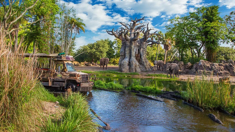 Parque Animal Kingdom