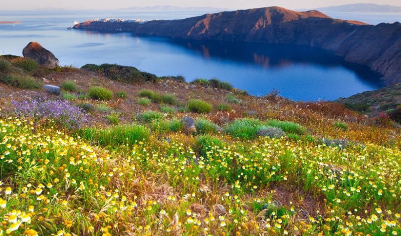 Primavera em Santorini