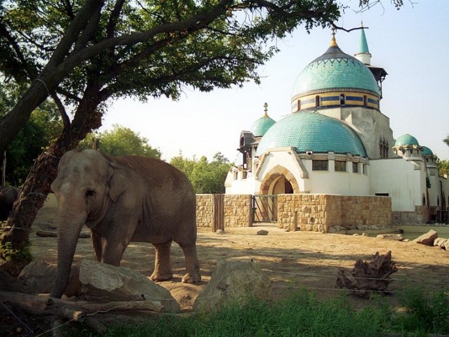 Zoológico de Budapeste | Hungria